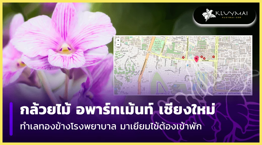 กล้วยไม้ อพาร์ทเม้นท์ เชียงใหม่