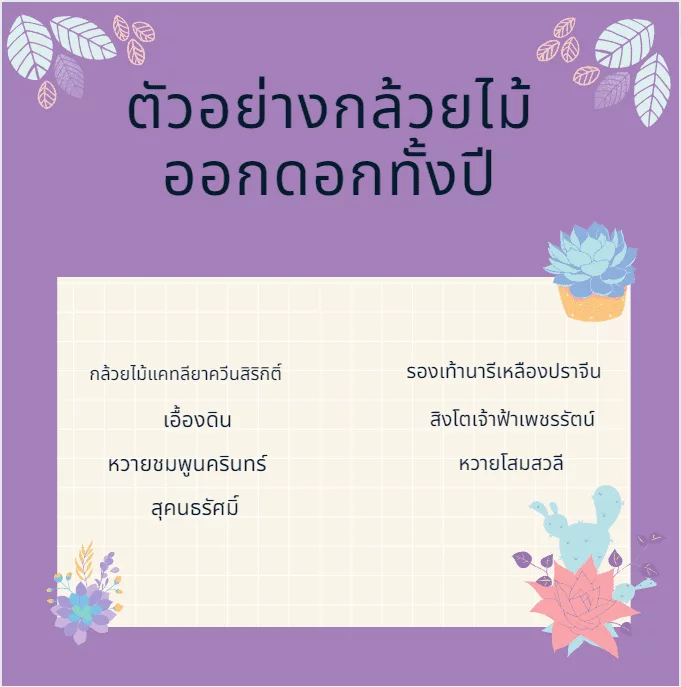 ตัวอย่างกล้วยไม้ออกดอกทั้งปี​