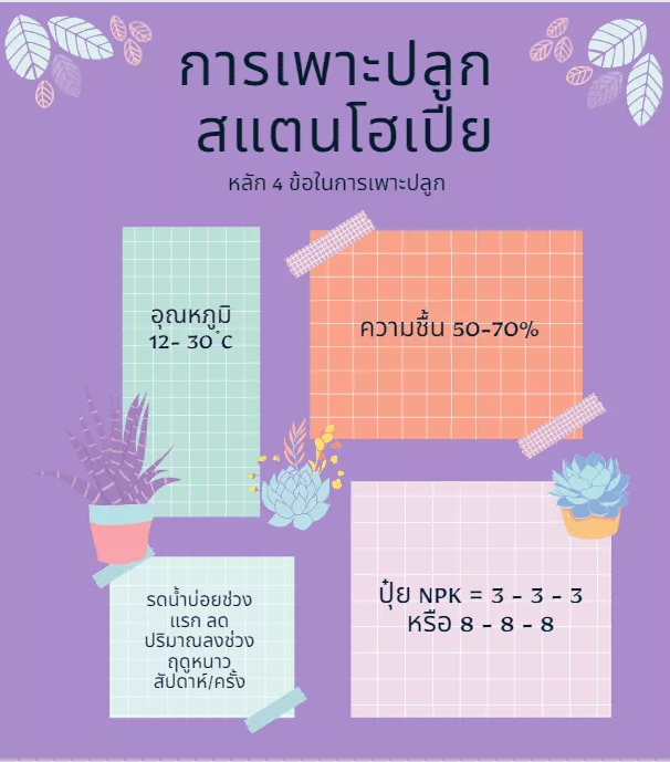 สแตนโฮเปีย